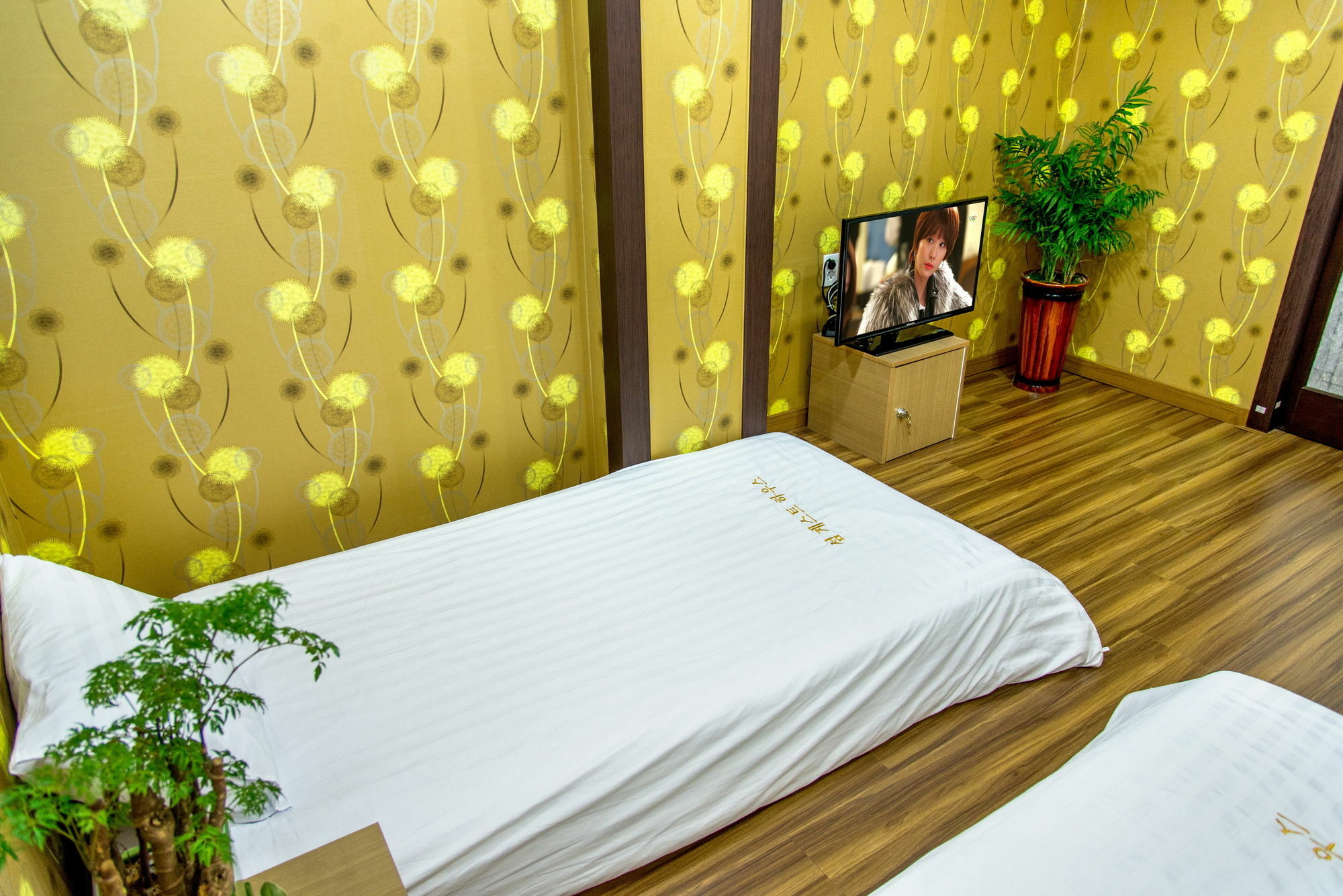 Seom Guesthouse Seogwipo Extérieur photo